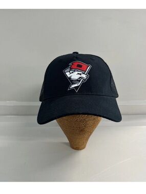 Charlotte Checkers Mesh SnapBack Black Truckers Hat AHL Hockey Minor League OSFM